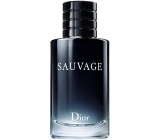 Christian Dior Sauvage toaletní voda pro muže 60 ml