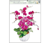 Okenní fólie bez lepidla orchideje tmavě růžová 42 x 30 cm