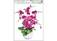 Okenní fólie bez lepidla orchideje tmavě růžová 42 x 30 cm