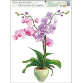 Okenní fólie bez lepidla orchideje světle růžová 42 x 30 cm