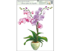 Okenní fólie bez lepidla orchideje světle růžová 42 x 30 cm