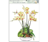 Okenní fólie bez lepidla orchideje žluto-bílá 42 x 30 cm