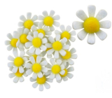 Květy z filcu s lepíkem bílé dekorace 3,5 cm v krabičce 18 kusů
