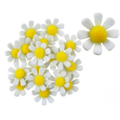 Květy z filcu s lepíkem bílé dekorace 3,5 cm v krabičce 18 kusů
