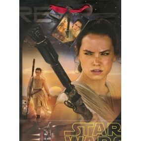 Ditipo Dárková papírová taška 26,4 x 12 x 32,4 cm Disney Star Wars