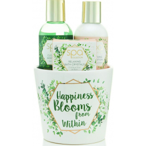 SK S&G Spa Happiness Blooms from Within tělové mýdlo 100 ml + tělové mléko 100 ml + koupelové krystalky 50 g, kosmetická sada v květináči