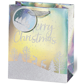BSB Luxusní dárková papírová taška 23 x 19 x 9 cm Vánoční hologramová se zasněženou krajinou VDT 453 - A5