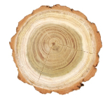 Kulatina vyhlazená dřevěná 9 - 10 cm