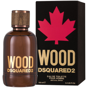 Dsquared2 Wood pour Homme toaletní voda pro muže 100 ml
