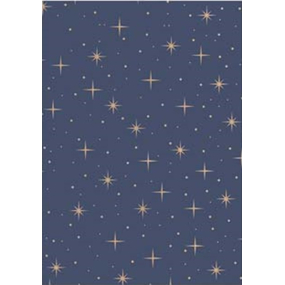 Ditipo Dárkový balicí papír vánoční 70 x 200 cm Kraft modrý, béžové hvězdičky