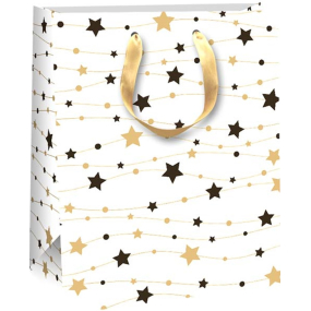 Ditipo Dárková papírová taška 18 x 10 x 22,7 cm Vánoční glitter bílá, zlaté a černé hvězdičky